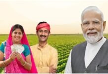 शेतकऱ्यांसाठी खुशखबर! पीएम किसानचा २२ वा हप्ता जमा; ९ कोटींहून अधिक शेतकऱ्यांना मिळाला लाभ