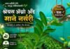 ठळक बातम्या – 25/09/2026