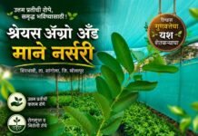 ठळक बातम्या – 25/09/2026