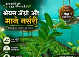 ठळक बातम्या – 25/09/2026