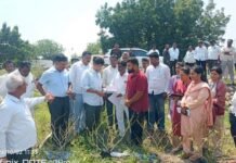 जिल्हाधिकारी एस. कार्तिकेयन यांच्याकडून सांगोला-मंगळवेढा तालुक्यात दुष्काळी परिस्थितीची पाहणी
